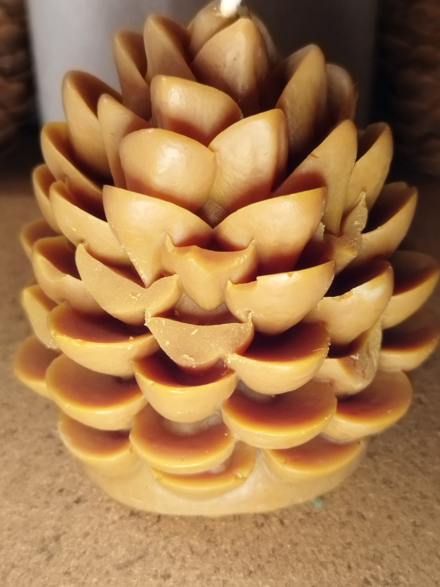 Pomme de pin ,parfum aiguilles de pin