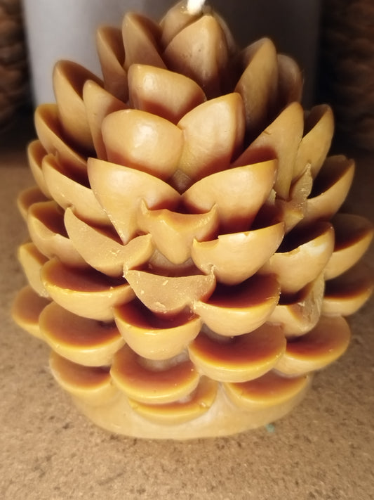 Pomme de pin ,parfum aiguilles de pin